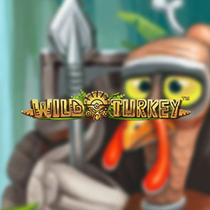 Автомат Wild Turkey: узнайте секреты лесной чащи